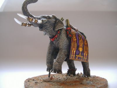 ELS00 Rearing Indian Elephant