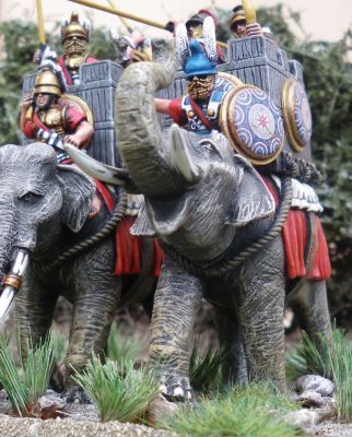 Elephant crews