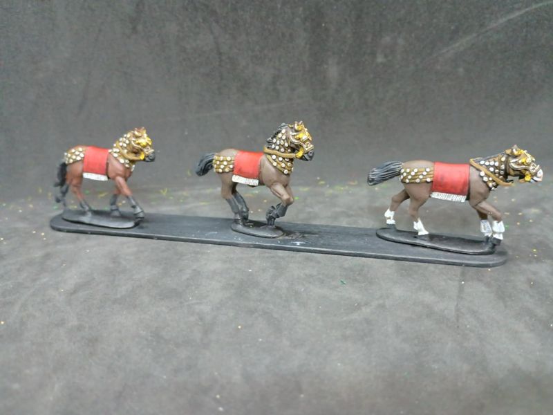 H13 horses in studded tackle