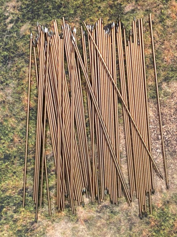 NS102c Wire spears/pikes with spearhead x 64 (1mm x 100mm)