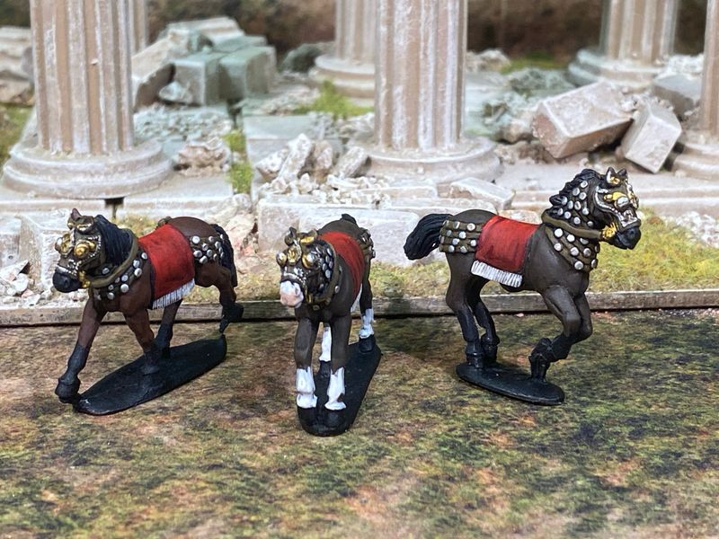 H13 horses in studded tackle