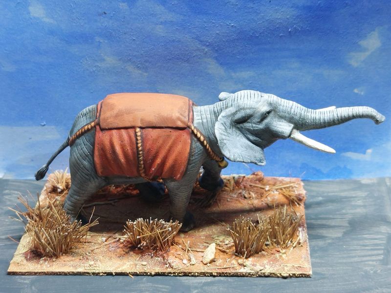 ELA02a African elephant trunk up (No Howdah).