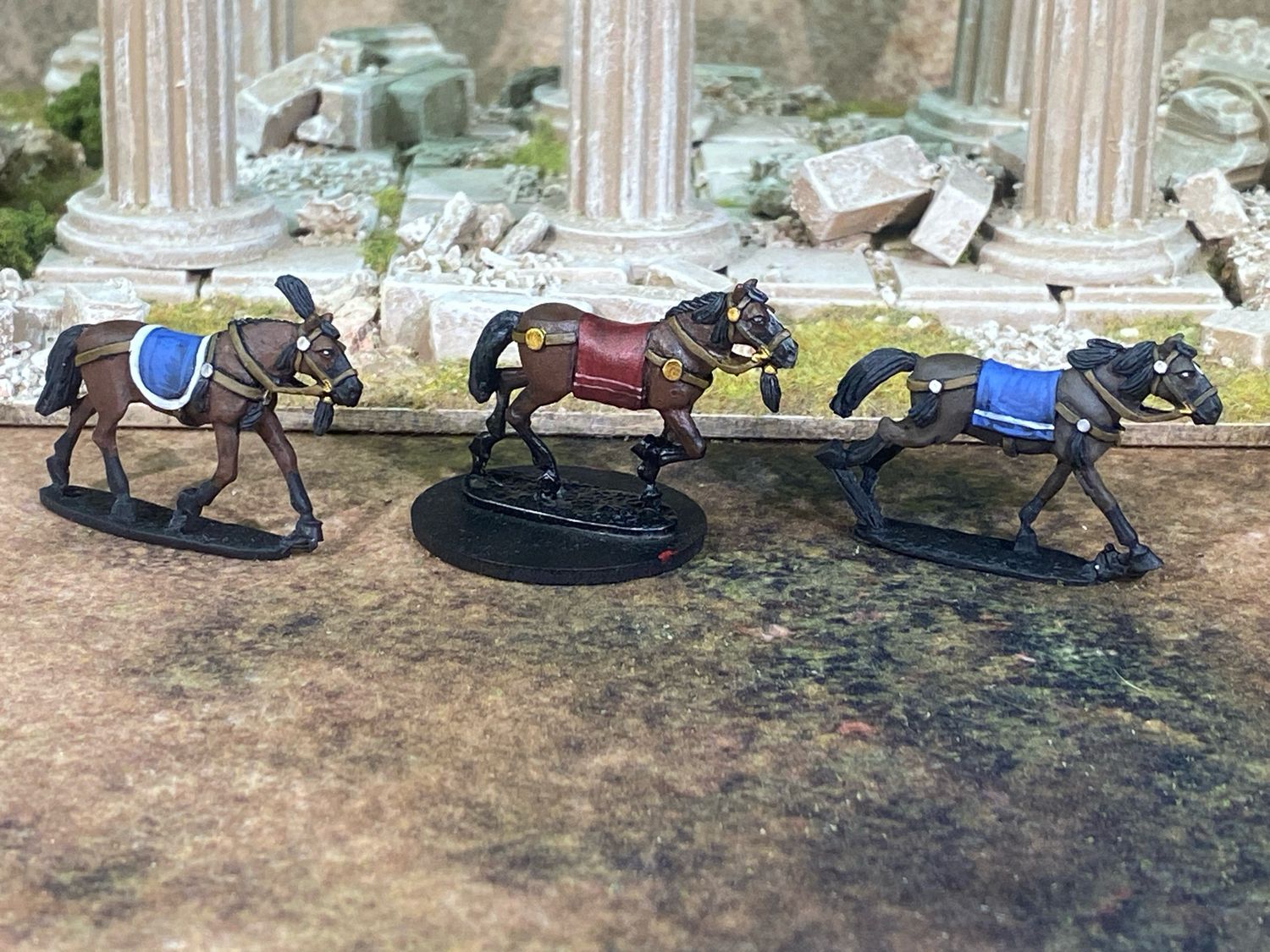 H11 Eastern Light Horse 2