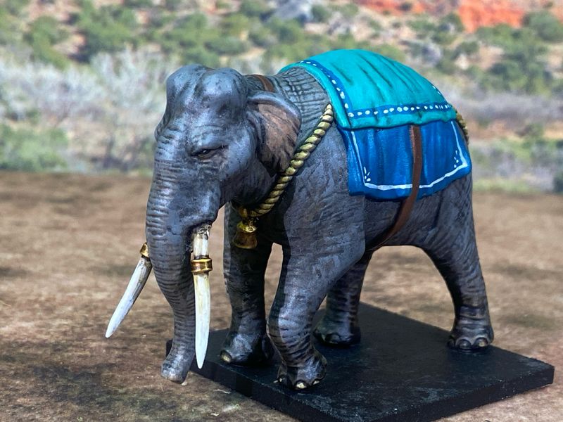 EL02 Indian Elephant trunk lowered