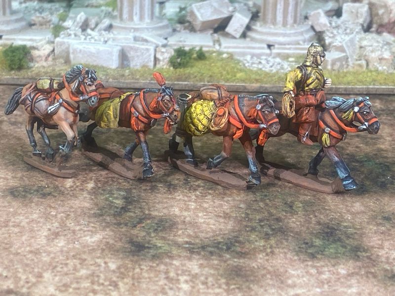 ST15.4 Steppe/Eastern 4 Horse Baggage Set