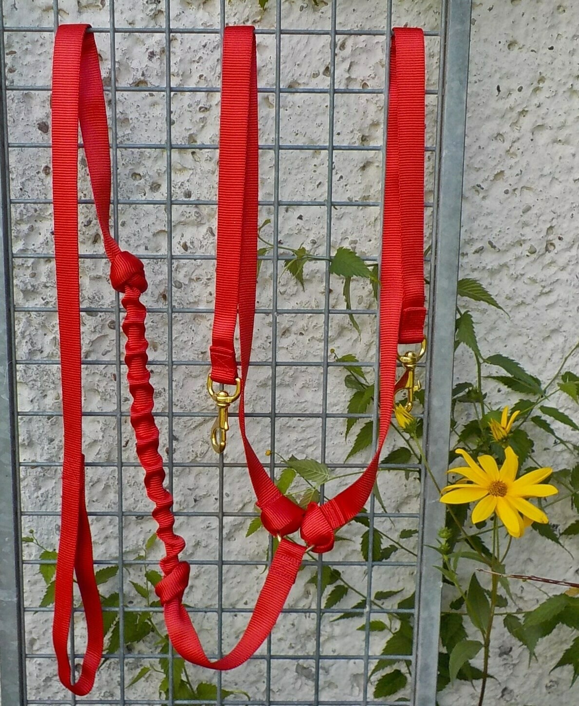 Ruckdämpferleine für zwei Hunde