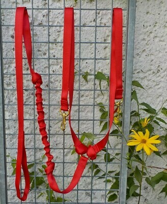 Ruckdämpferleine für zwei Hunde