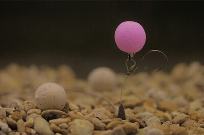 10mm Pop Ups & Wafters