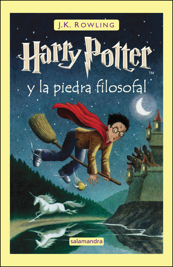 LLIBRE-PASTÍS DE SANT JORDI "HARRY POTTER"