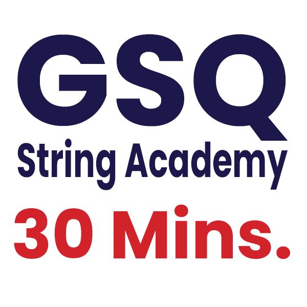 Private Strings Lessons - One 30-minute session