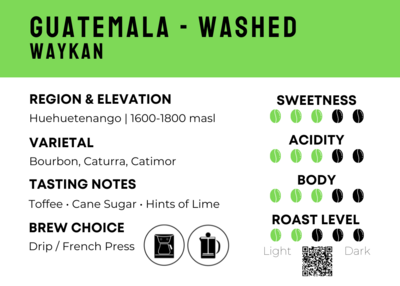 Wholesale - Guatemala - Washed | Waykan