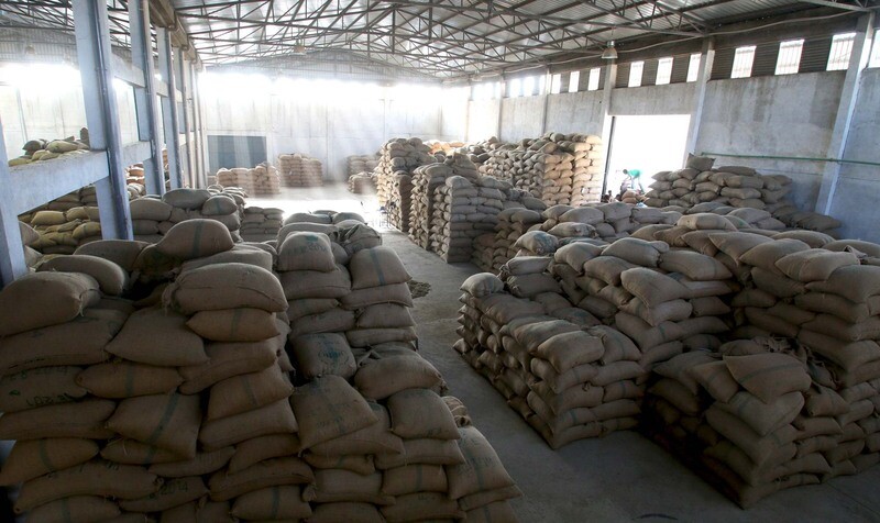 Ethiopia Grade 1 - Washed | Arsosala Washing Station