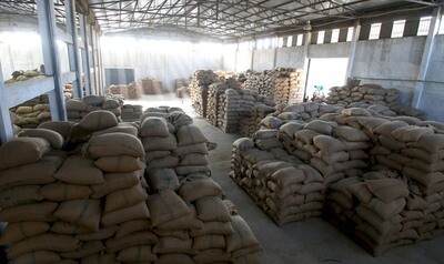 Ethiopia Grade 1 - Washed | Arsosala Washing Station