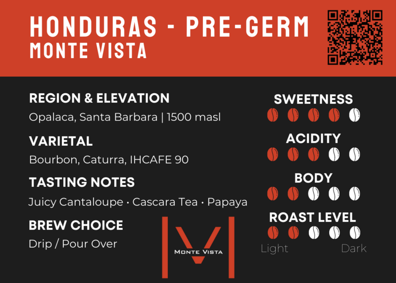 Honduras - Pre-Germination | 
Monte Vista
