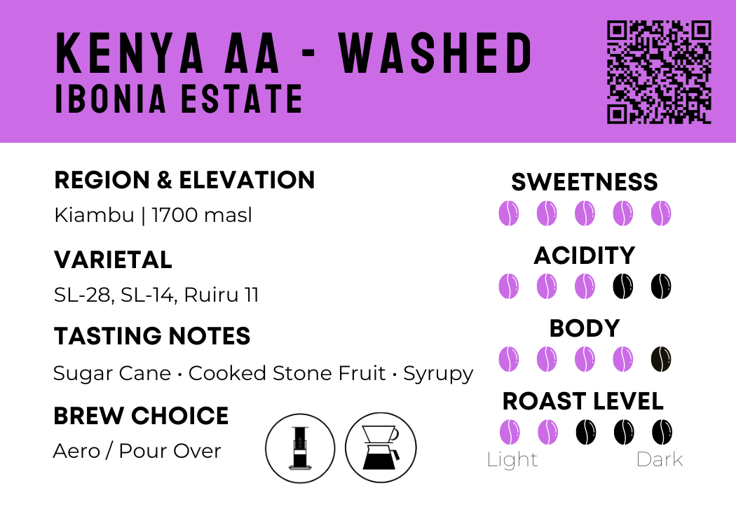 Kenya AA - Washed | Ibonia Estate