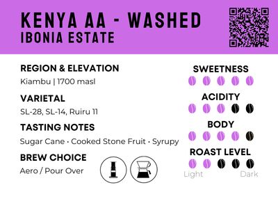 Kenya AA - Washed | Ibonia Estate