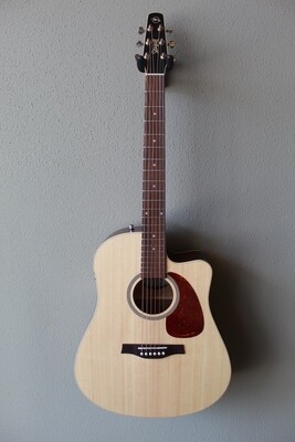 Acoustic Guitars