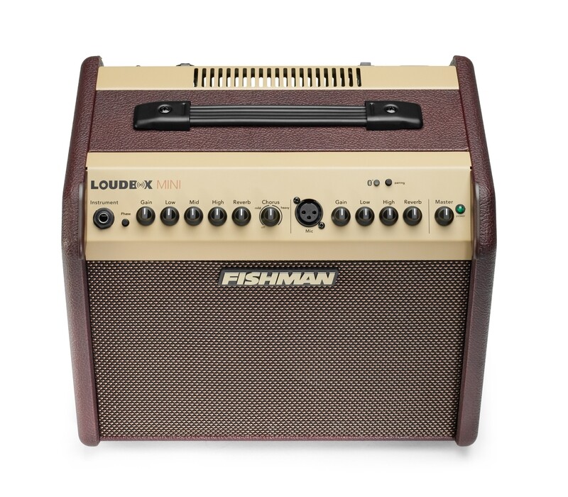 Fishman Loudbox Mini Acoustic Guitar Amplifier