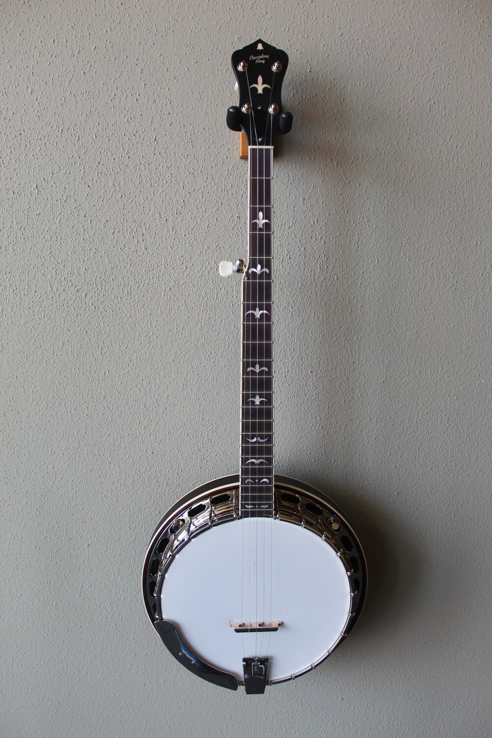 Recording King RK-R35-BR Madison 5-String Resonator Banjo with Deluxe Hard Case