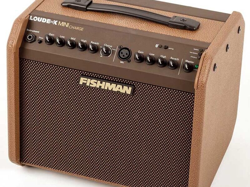 Fishman Loudbox Mini Charge Acoustic Guitar Amplifier