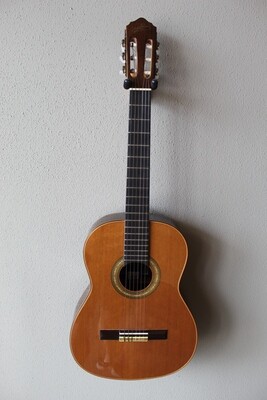 Used Giannini Serie Classica GWNC6 Brazilian Classical Guitar with Hard Case