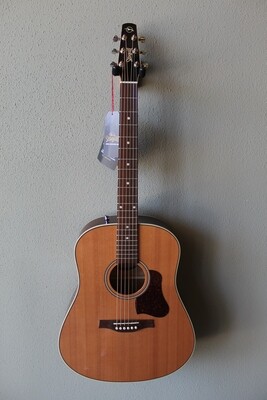 Seagull Coastline Momentum Acoustic/Electric Guitar with Gig Bag