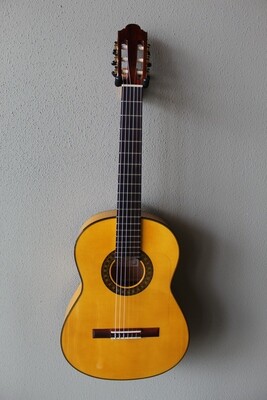 Marlon (Francisco) Navarro Flamenco Blanca Guitar - 640 Scale