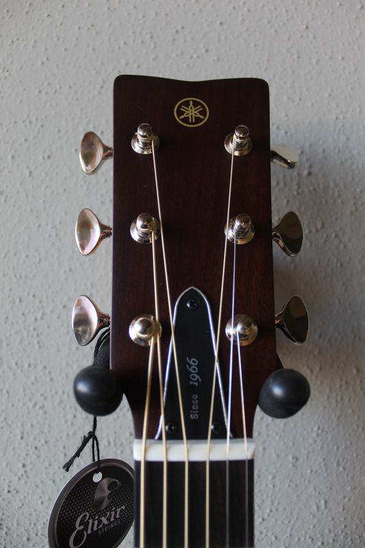 Yamaha Red Label FSX5 Steel String Acoustic/Electric Guitar - Gloss Finish