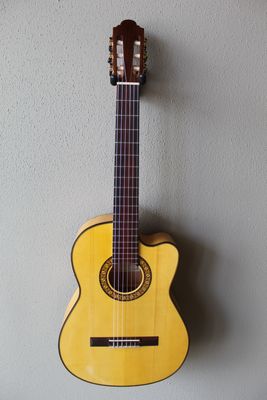Marlon (Francisco) Navarro Acoustic/Electric Flamenco Blanca