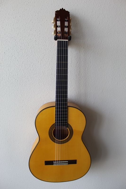 Francisco Navarro Concert Flamenco Blanca Guitar