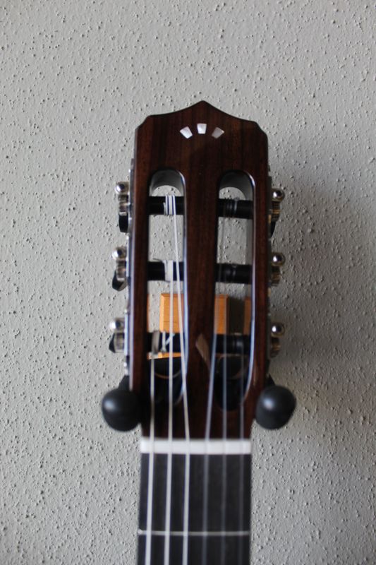 Cordoba Fusion 12 Acoustic/Electric Classical Guitar - Cinnamon Burst