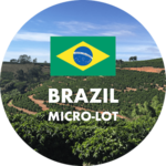 Brazilian Salmo Plus