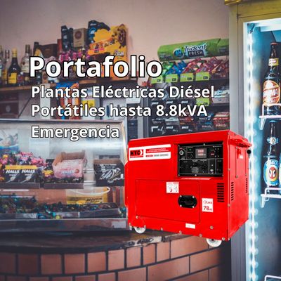 Planta Electrica Diesel Portatil 5 a 8 kVA 3.600 r.p.m. Emergencia