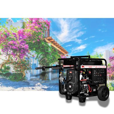Generadores Electricos Gas Gasolina