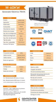 Planta Electrica Diesel 75 kVA 110/220V 3F 200 Amp Max. Faw