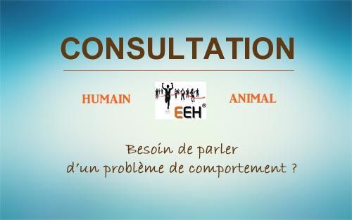 Consultation / Entretien 1h en présentiel - Brest et alentours