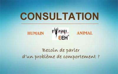 Consultation / Entretien