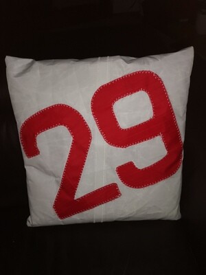 Coussin #29