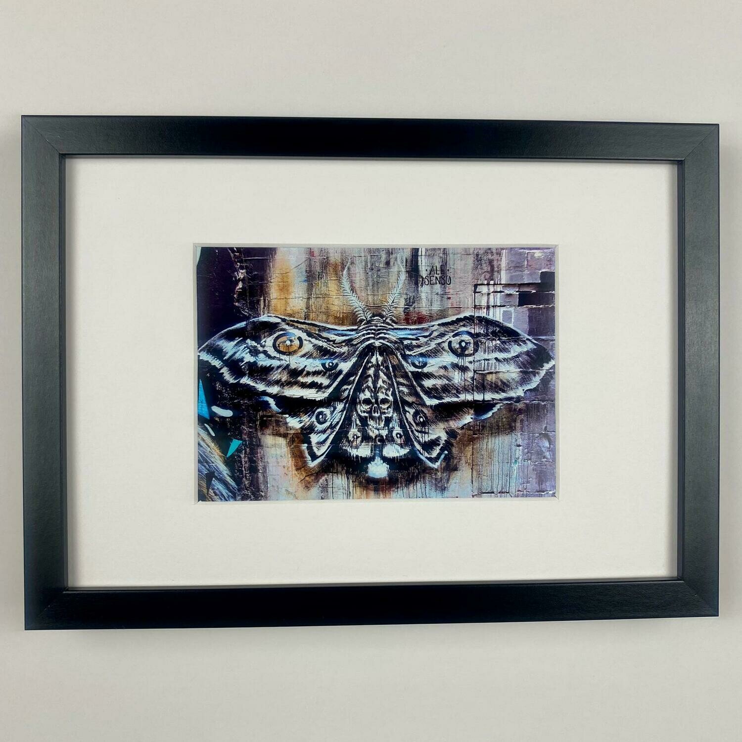 Owl-like-Butterfly I Fotoprint I Streetart