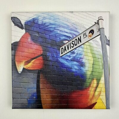 Parrot Davison I Leinwand I Streetart Print