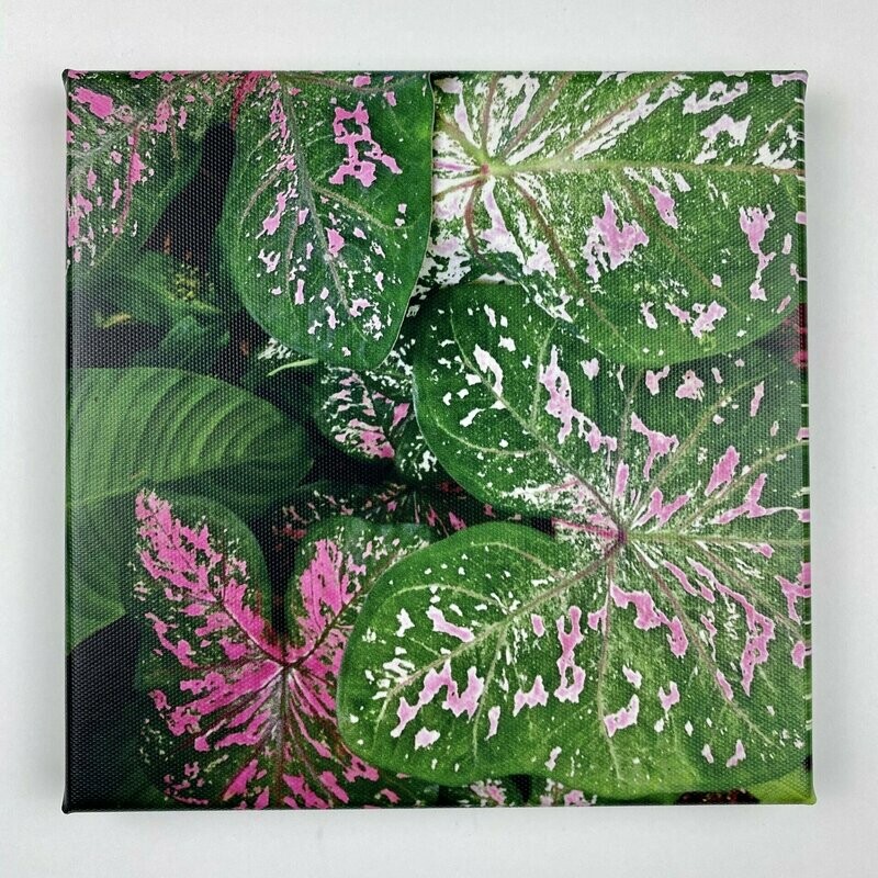 Mosaic Plants I Leinwand I Fotoprint Mosaic Plants I Leinwand I Fotoprint
