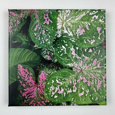 Mosaic Plants I Leinwand I Fotoprint