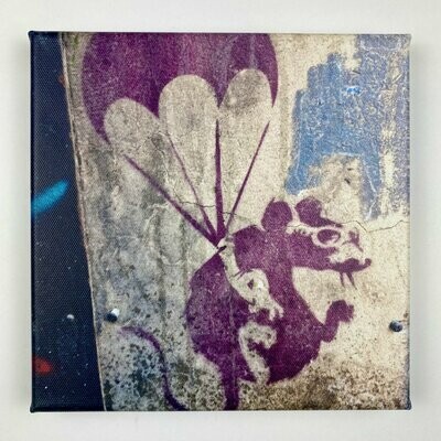 Flying Rat I Leinwand I Streetart Print