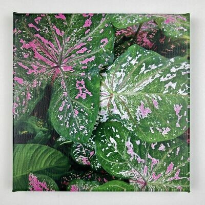 Mosaic Plants II I Leinwand I Fotoprint