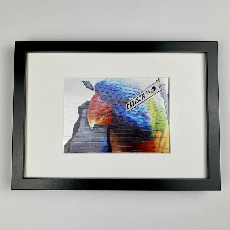 Parrot Davison - Fotoprint - Streetart Parrot Davison - Fotoprint - Streetart