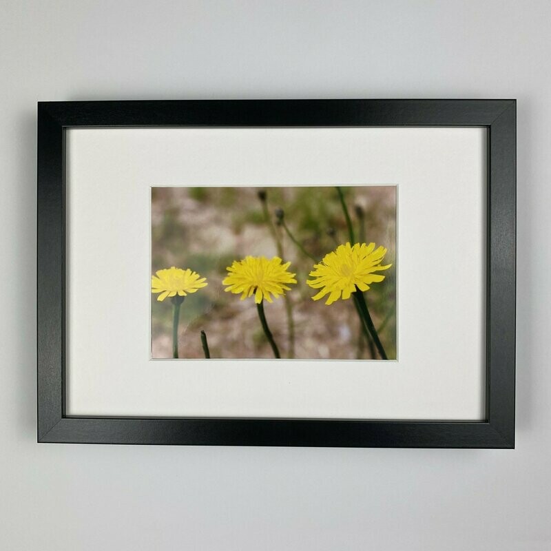 Dandelion Trio - Bilderrahmen - Fotoprint Dandelion Trio - Bilderrahmen - Fotoprint