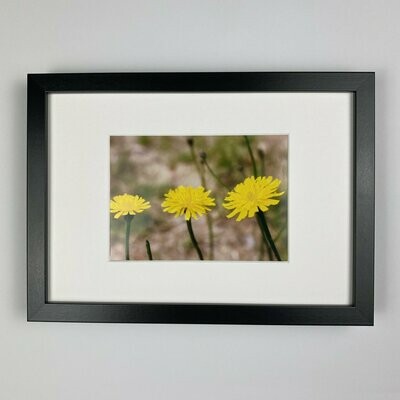 Dandelion Trio - Bilderrahmen - Fotoprint Dandelion Trio - Bilderrahmen - Fotoprint