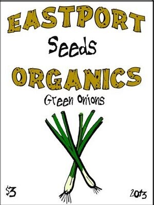 Green Onion Kincho Organic Eastport