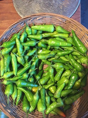 Organic Pepper Seeds