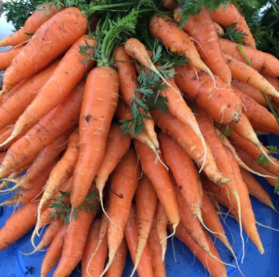 Organic Spicy Dilled Carrots